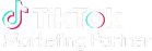 tiktok-marketing-partner