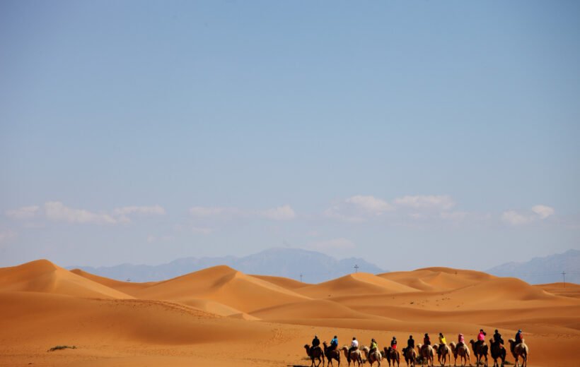 Desert Safari