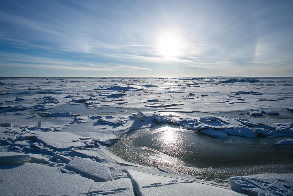 Antarctica